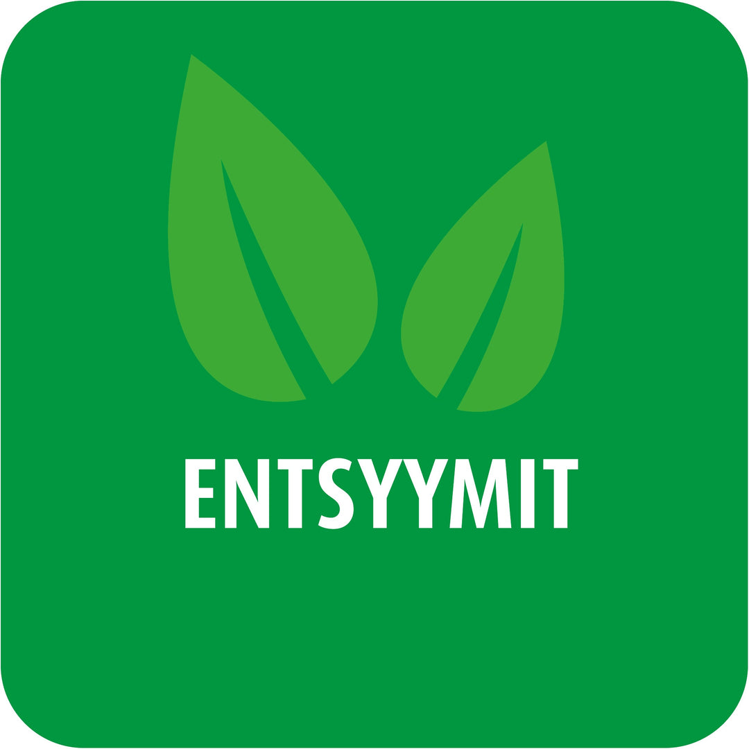 Entsyymit