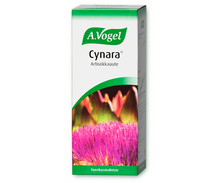 Vogel Cynara artisokkauute